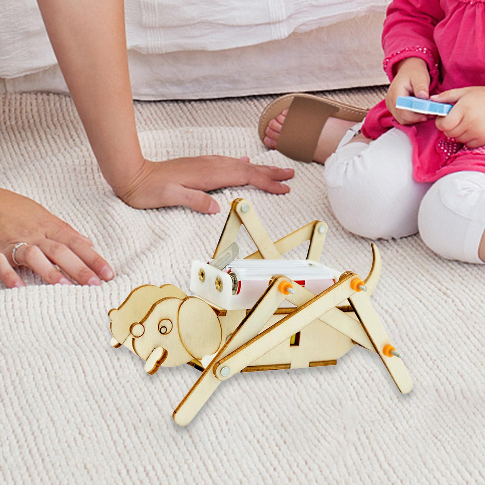 مجموعة نماذج خشبية للتركيب الذ - مراجعة Science Project Toys Making وسعره
