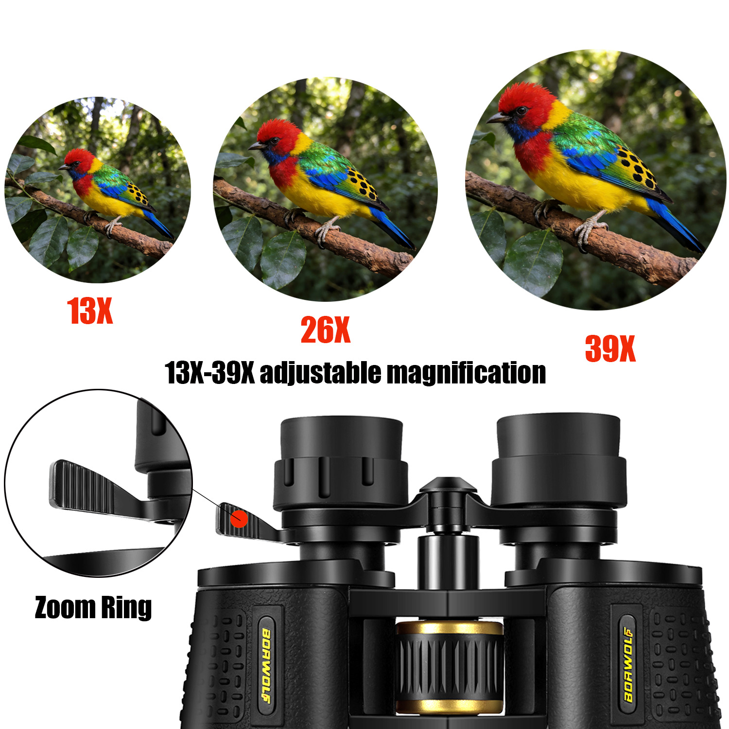 منظار بورولف 13-39×70 عالي الت - مراجعة National Geographic Telescope 70Mm وسعره
